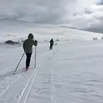 Hoyfjellshotell Hotell 4*