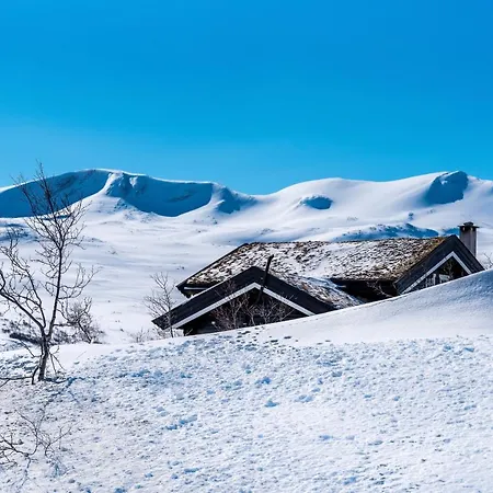Hoyfjellshotell 4* Grotli