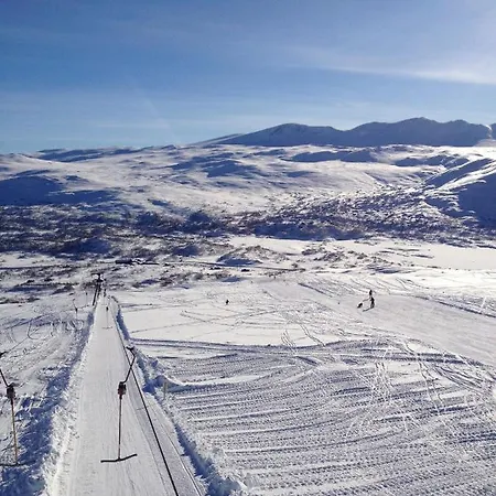 Hoyfjellshotell 4*