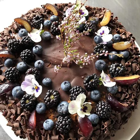 Hoyfjellshotell Hotel 4*