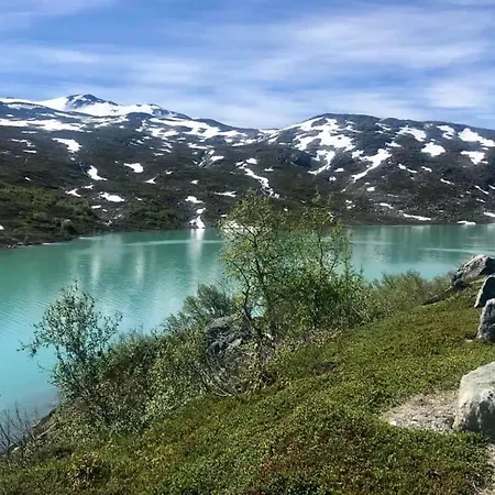 Hoyfjellshotell Отель
