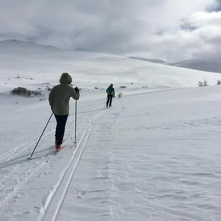 Hoyfjellshotell Отель 4*