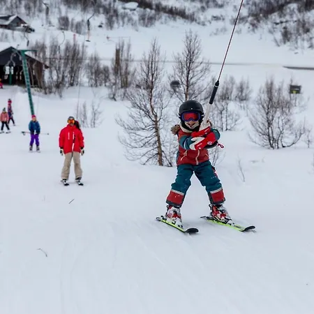 Hoyfjellshotell 4* Grotli