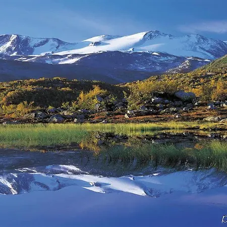 Hoyfjellshotell فندق 4*