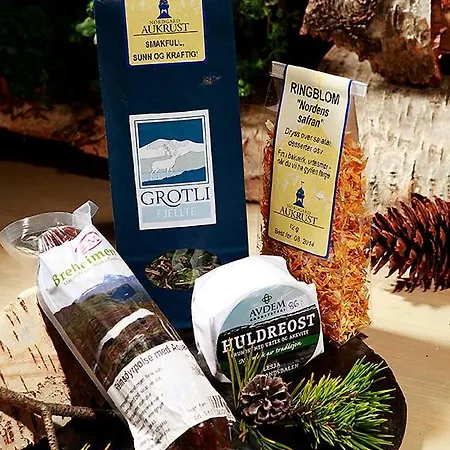 Hoyfjellshotell Grotli